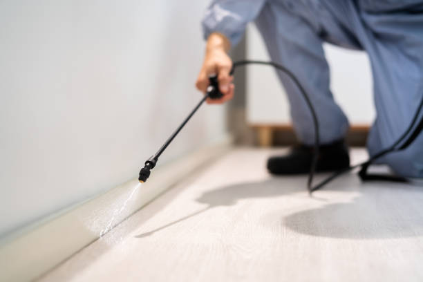 Licensed Termite Control service in Frankston, TX - Show Me Pest Control